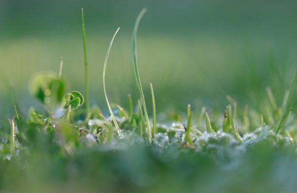 GrowthUP tops the league of 6 startup incubators and accelerators in Ukraine