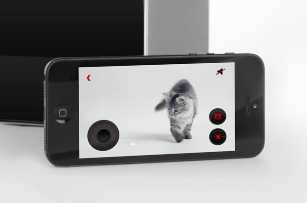 Ukrainian Startup PetCube Raises $100K on KickStarter in Days