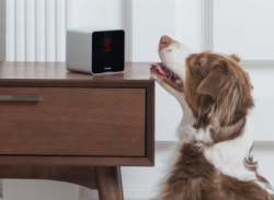 petcube