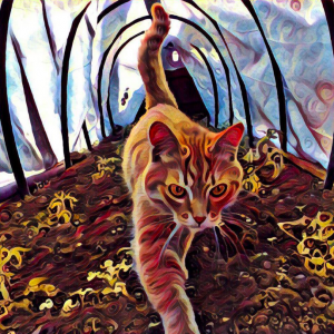 my.com invested in prisma
